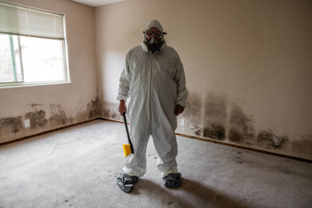 Reliable Marquette Heights, IL Mold Remediation Solutions